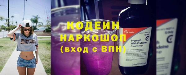 мдпв Протвино