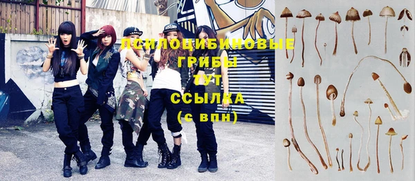 экстази Алексеевка