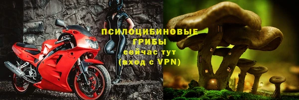 стафф Алексин