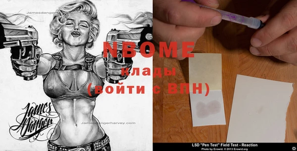 стафф Алексин